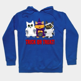 Trick or treat kittens! Hoodie